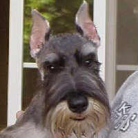 Frankie 05-14-99
