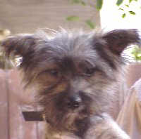 Happy Jack 02-06-99
