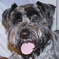 Jack 06-18-99