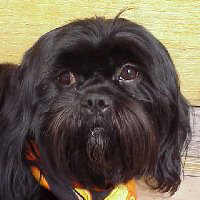 Louie 09-01-99