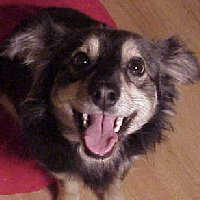 Mindy 04-15-99