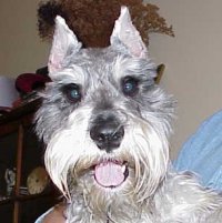 Otto 12-19-99