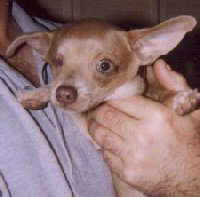 Paco 11-18-98
