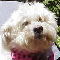 Rachel 05-28-99