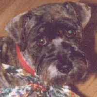 Sally 12-02-98