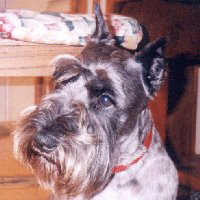 Toto 07-30-98