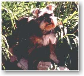 rudy photo2