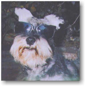 rudy cool guy