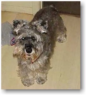 rudy last photo