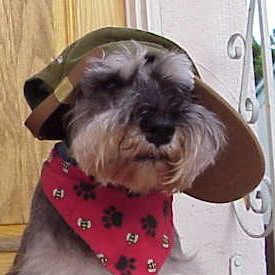 Click here to read about me, Rudy