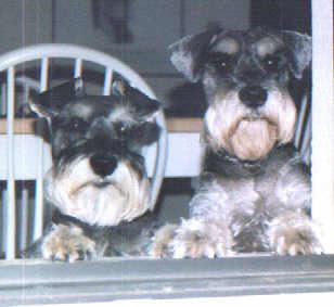 Sam and Max's photo