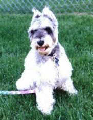 Spanky