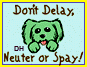 Spay and Neuter