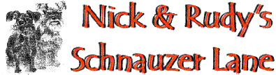 nickrudy title