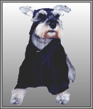 Rudy Zorro
