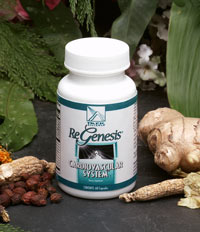 Cardiovascular System