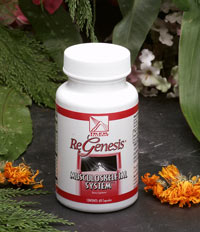 Musculoskeletal System