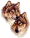 bullet2