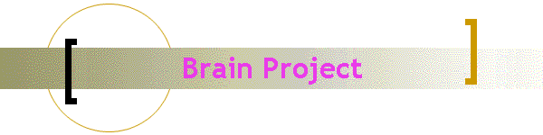 Brain Project