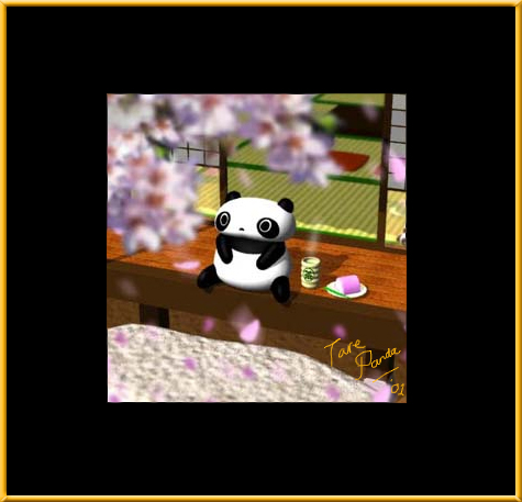 Click to enter - My Tare Panda Collection