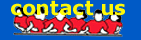 Contact Us & Send Us an Email