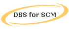 DSS for SCM