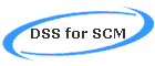 DSS for SCM