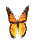 ani_btrfly1454670.gif