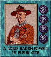 Baden Powell Four-Fleur Award