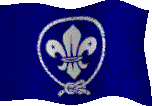 Bandera Scout