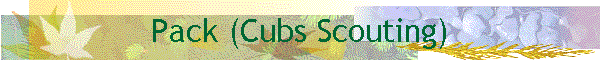 Pack (Cubs Scouting)
