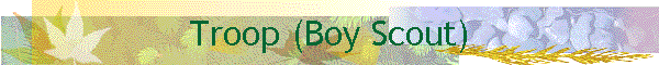Troop (Boy Scout)