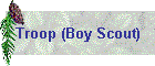 Troop (Boy Scout)