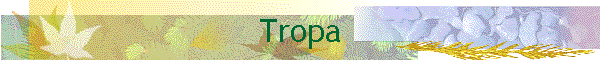 Tropa