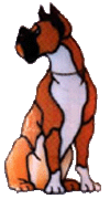 Graphic of sitting Boxer