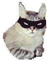 The Masked "Kat"
