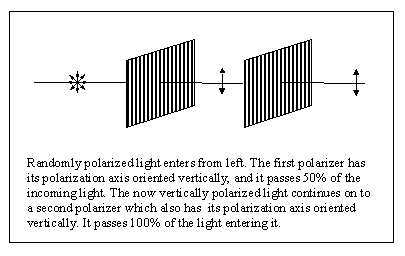 lightvv.gif (4890 bytes)