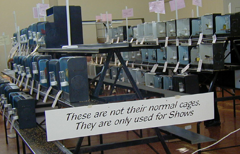 [ Show Benches ]