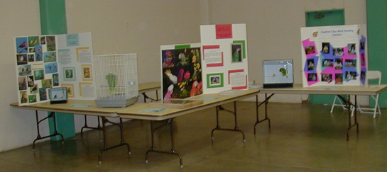 [ Educational Displays ]