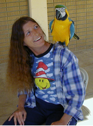 [ Blue and Gold Macaw ]