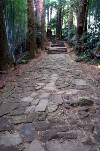 path in the woods