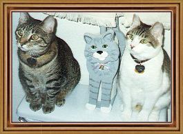 Which ones are real?