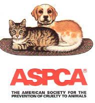 Help save animals!