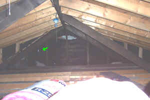 revisit-attic1.jpg (23989 bytes)