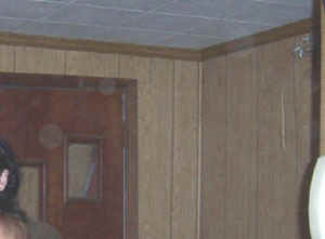 revisit-basementorbsclose.jpg (20979 bytes)