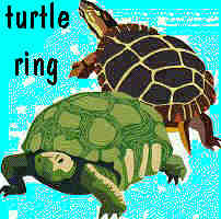 Turtle
Ring!