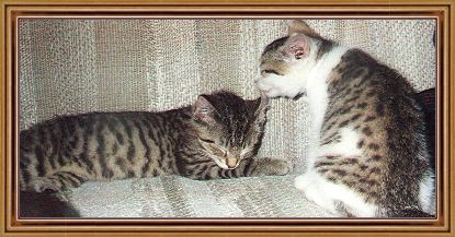 Young Chatty and Johy!