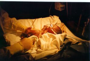 1 minute old!