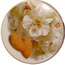 Almond