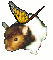 Click here to learn about my hamster Potpourri!